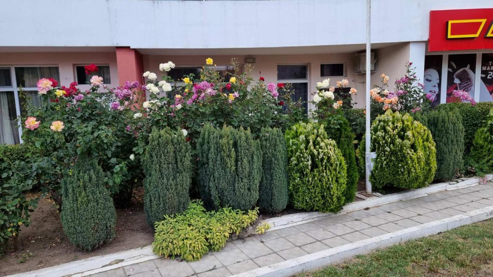 Luxurious Studios Nani Kranevo Luaran gambar